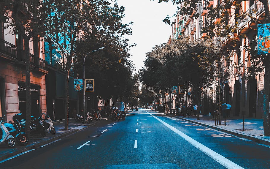 gray concrete road between buildings, transportation, city, street HD wallpaper