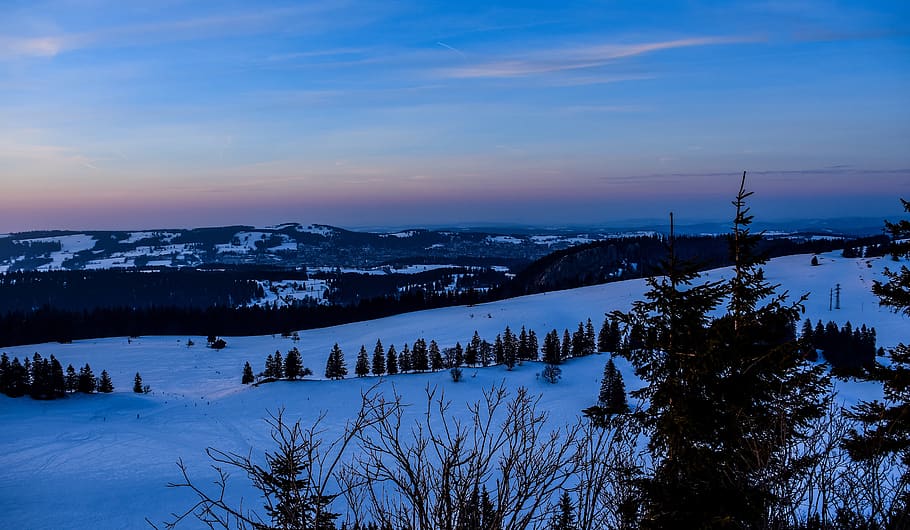 twilight, landscape, winter, forest, fir, snow, landscapes HD wallpaper
