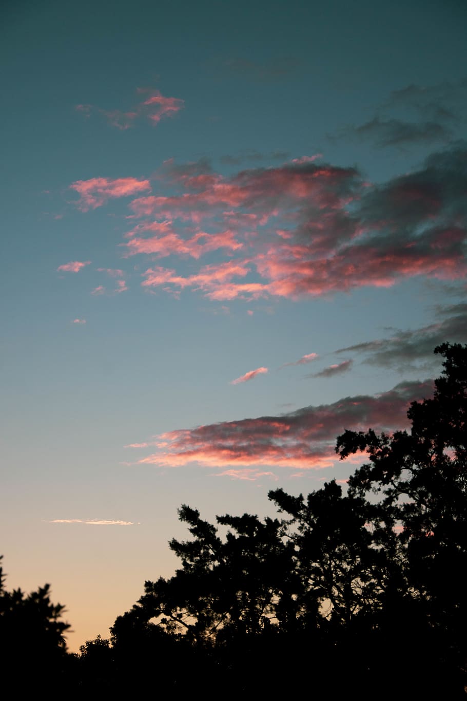 nature, outdoors, sky, sunlight, red sky, dawn, sunset, dusk HD wallpaper
