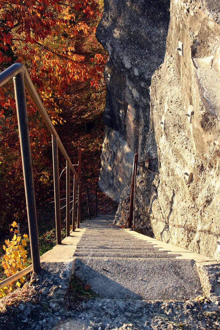 handrail, banister, railing, path, walkway, switzerland, lavaux HD wallpaper