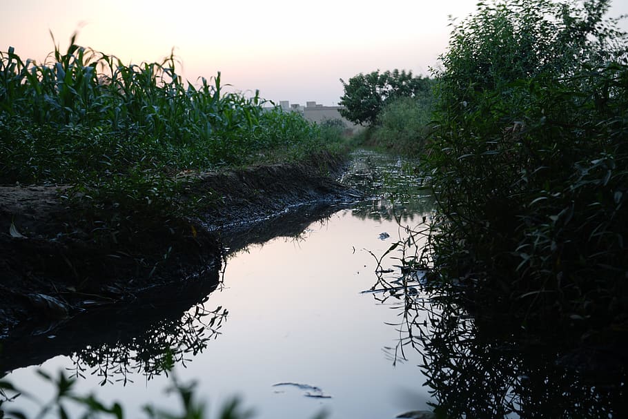 pakistan, lahore, fields, pond, stream, water, reflection, calm HD wallpaper