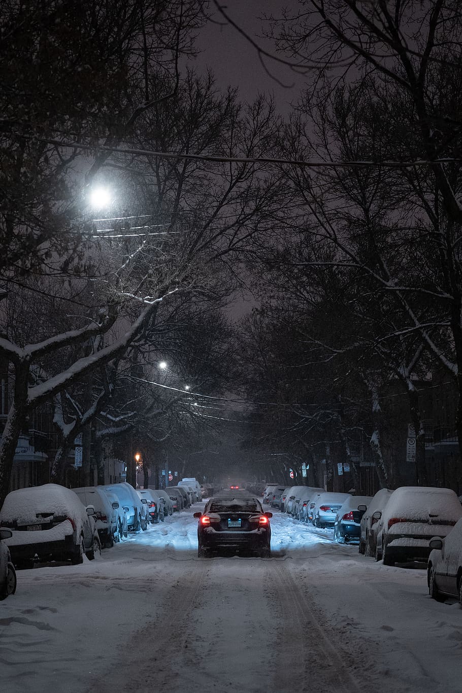 nature, vehicle, automobile, car, transportation, snow, winter