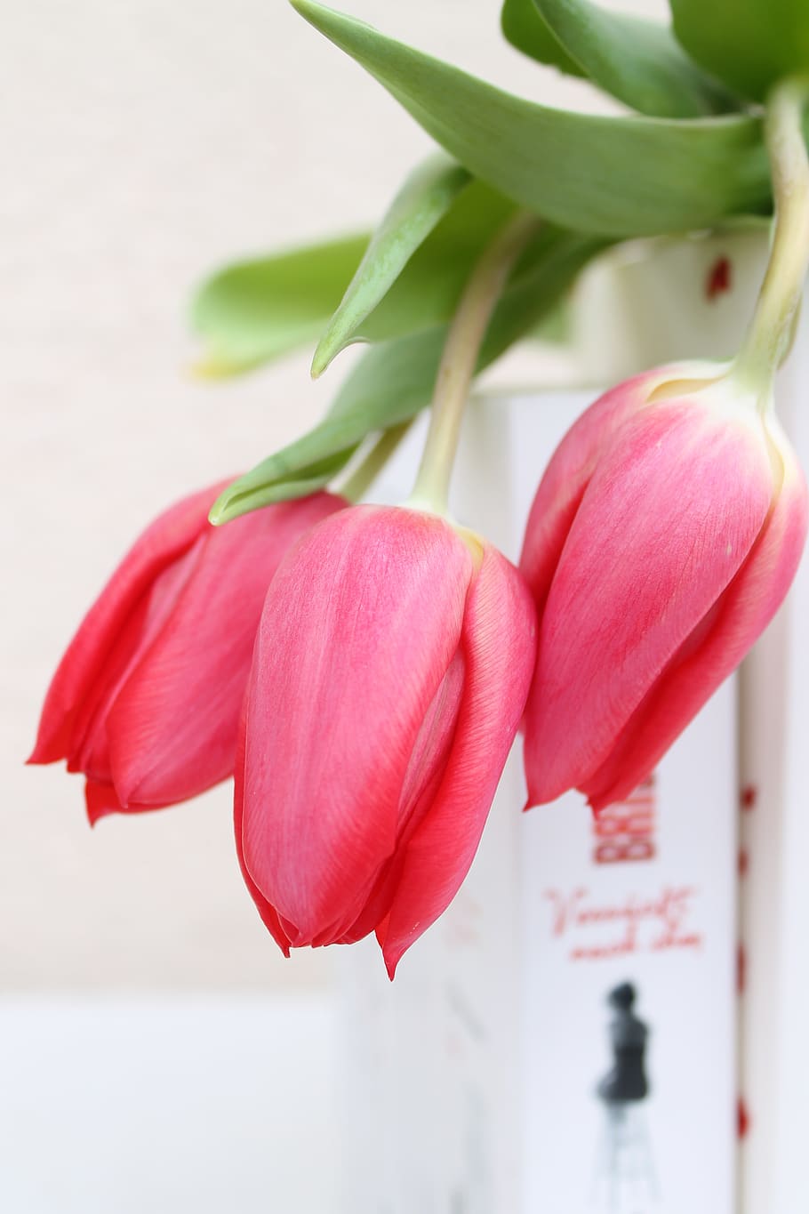 book, books, read, romantic, romance, tulips, spring, freshness HD wallpaper