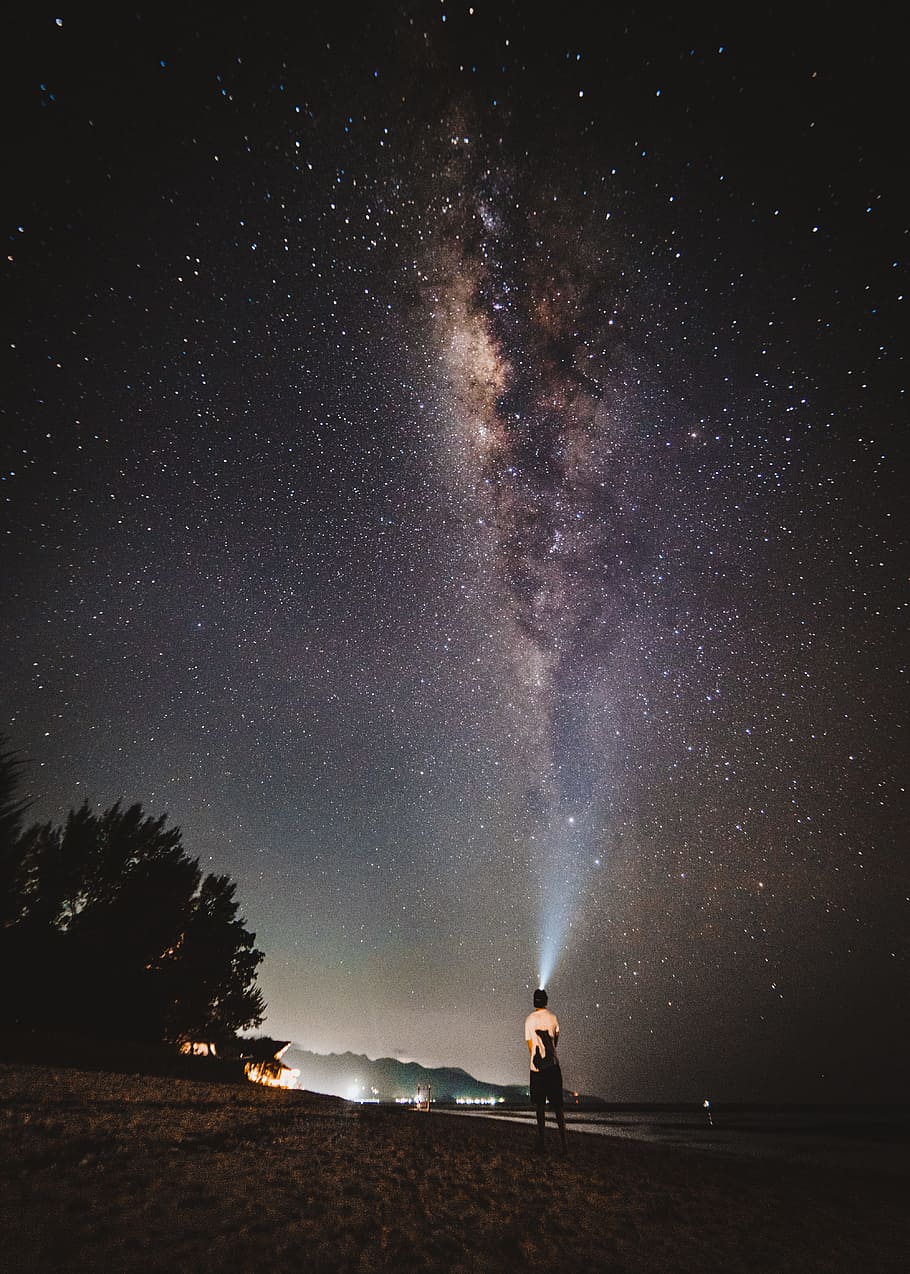 beach, shore, night, star, light, glow, dark, tree, long exposure HD wallpaper