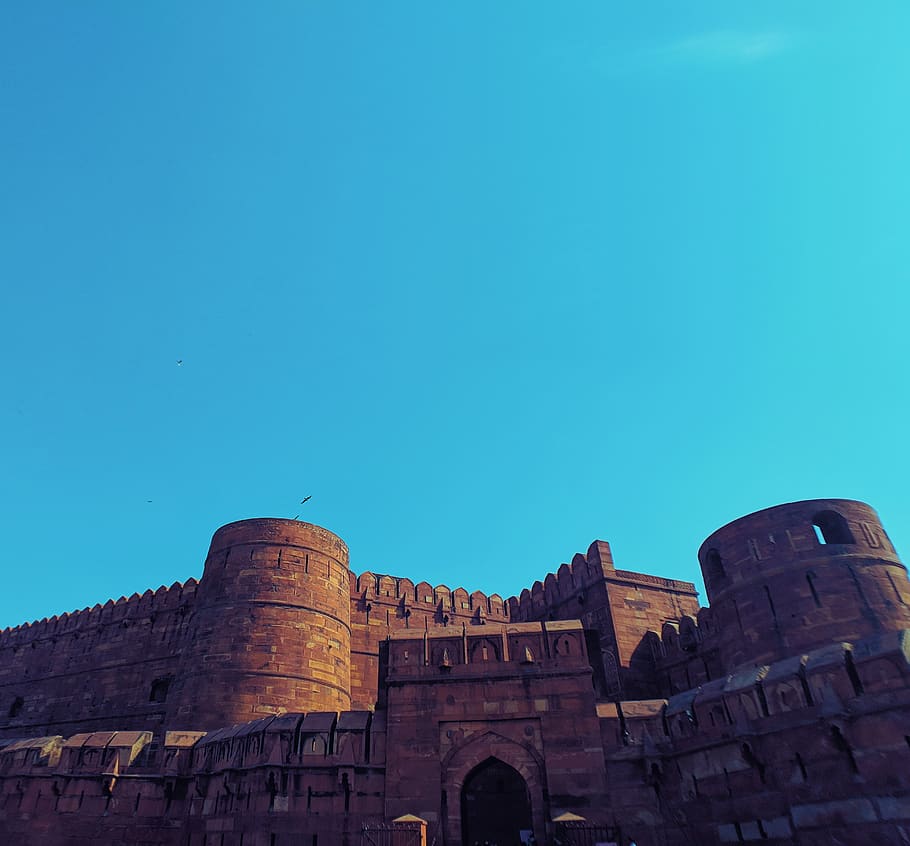 castle, architecture, building, fort, animal, bird, moat, spire HD wallpaper