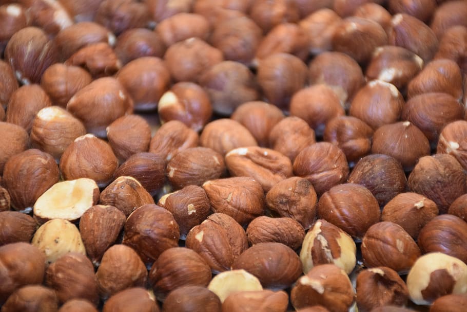 hazelnut, peanut, filbert, cob nut, brown, turkish, healthy HD wallpaper
