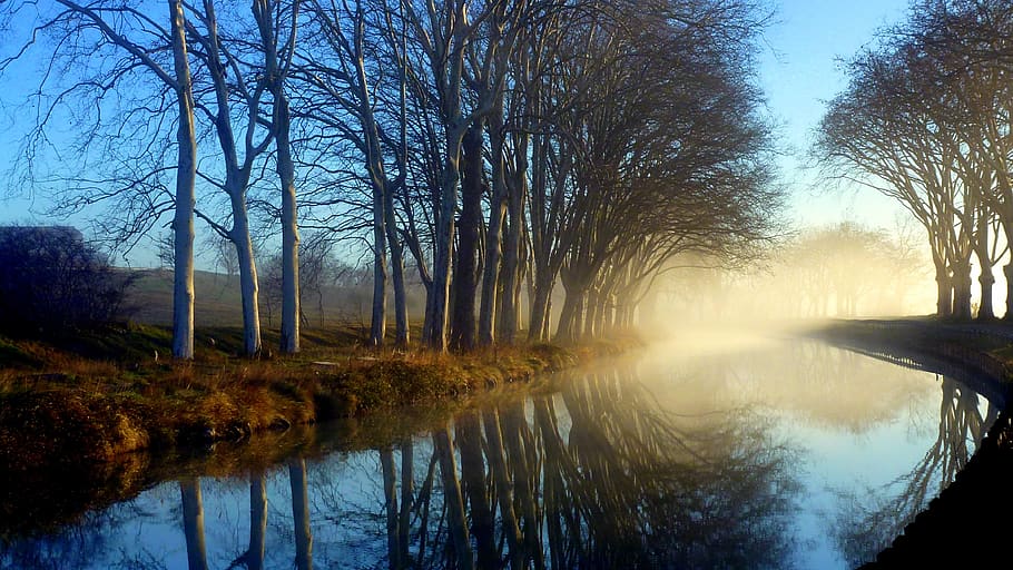 nature, reflection, tree, dawn, body of water, plant, tranquility HD wallpaper