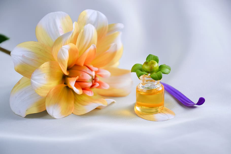 essential oil, spa, aromatherapy, cosmetic oil, alternative, HD wallpaper