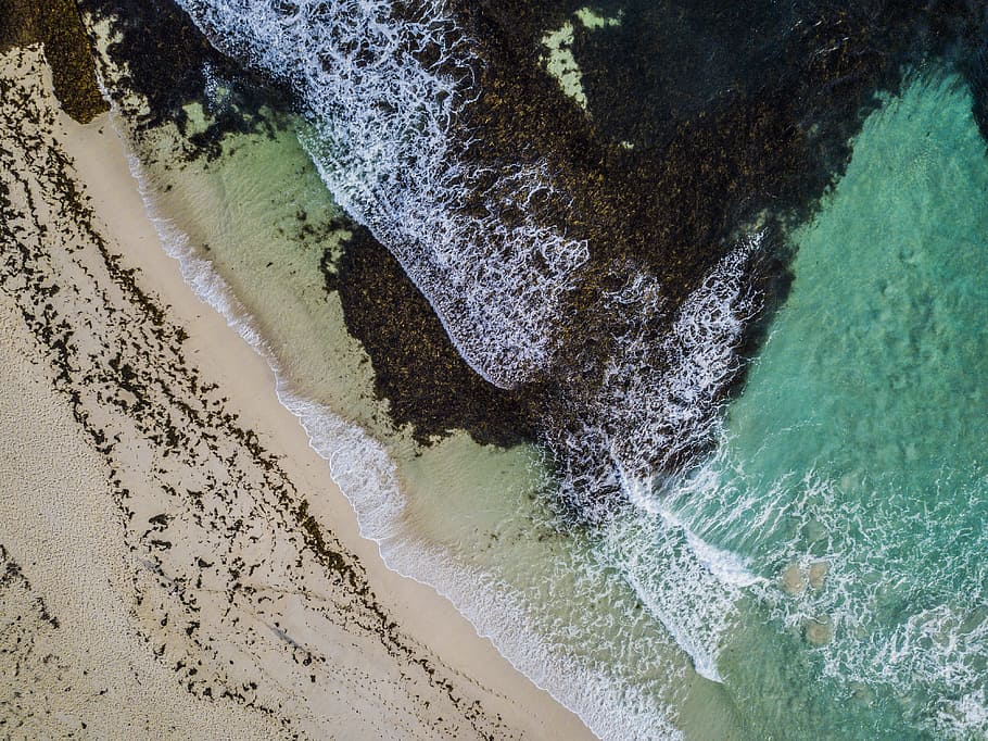 aerial view of body of water, sea, coastline, beach, drone, nature, HD wallpaper