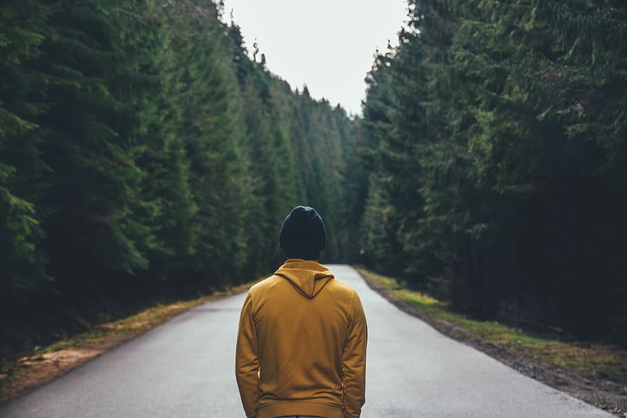 Standing Person Wearing Yellow Jacket on Road Between Pine Tree HD wallpaper