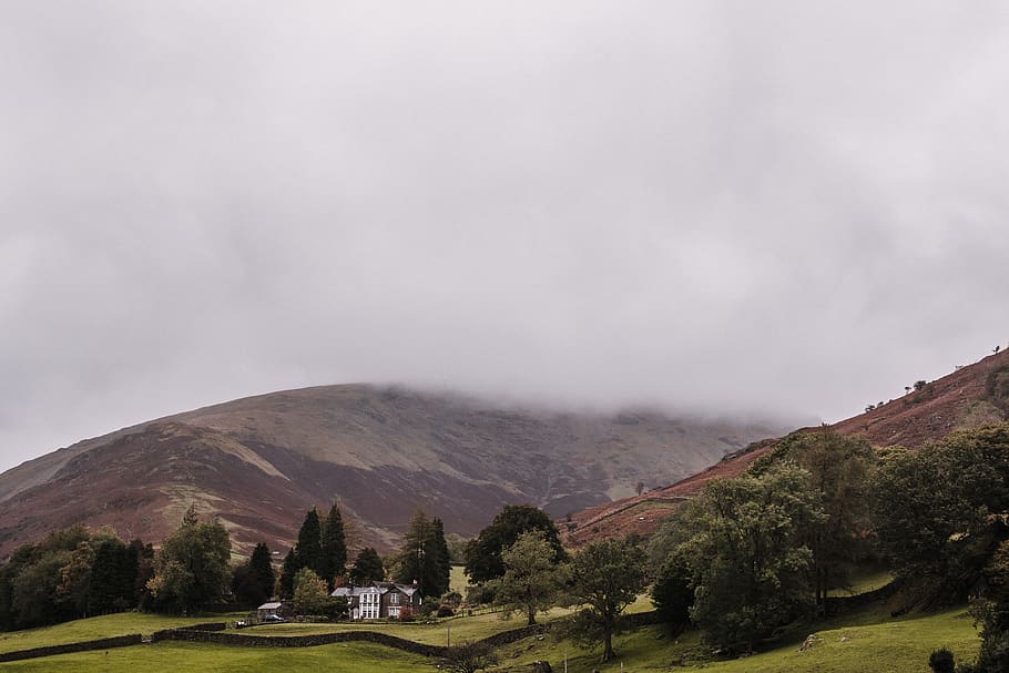 trees, lakes, lake district, mountains, autumn, fall, fog, sky HD wallpaper