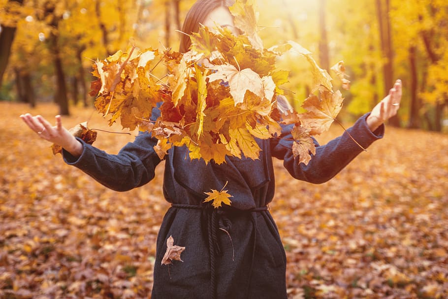 Woman Throwing Autumn Leaves Into The Air, leaf, plant part, one person HD wallpaper