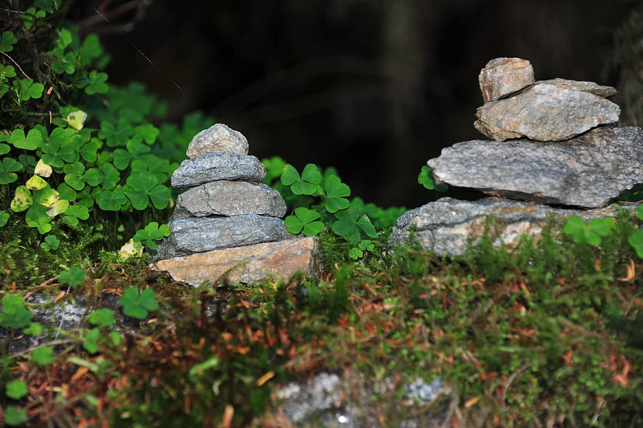norway, mountains, forest, solid, rock, rock - object, nature HD wallpaper