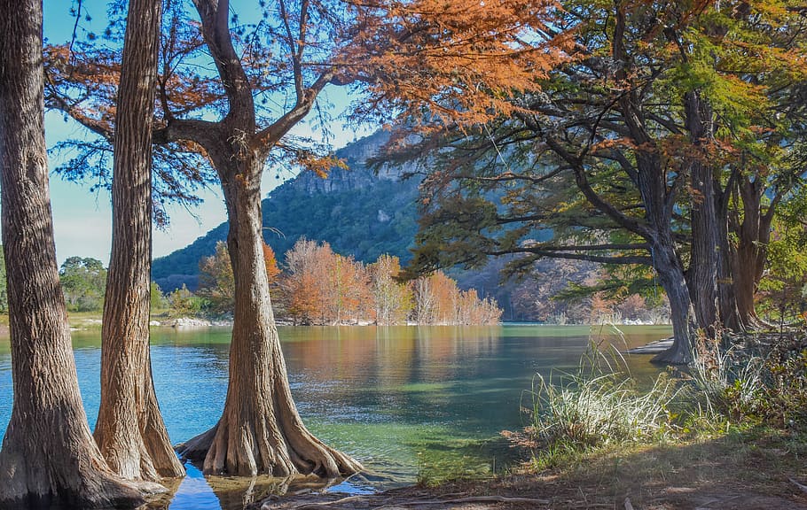 river, trees, nature, water, landscape, outdoors, scenic, reflection HD wallpaper