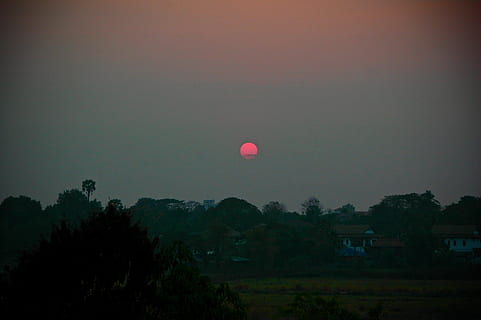 sunset, vientiane, laos, tree, plant, sky, beauty in nature HD wallpaper