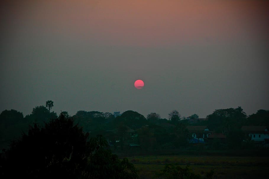 sunset, vientiane, laos, tree, plant, sky, beauty in nature HD wallpaper
