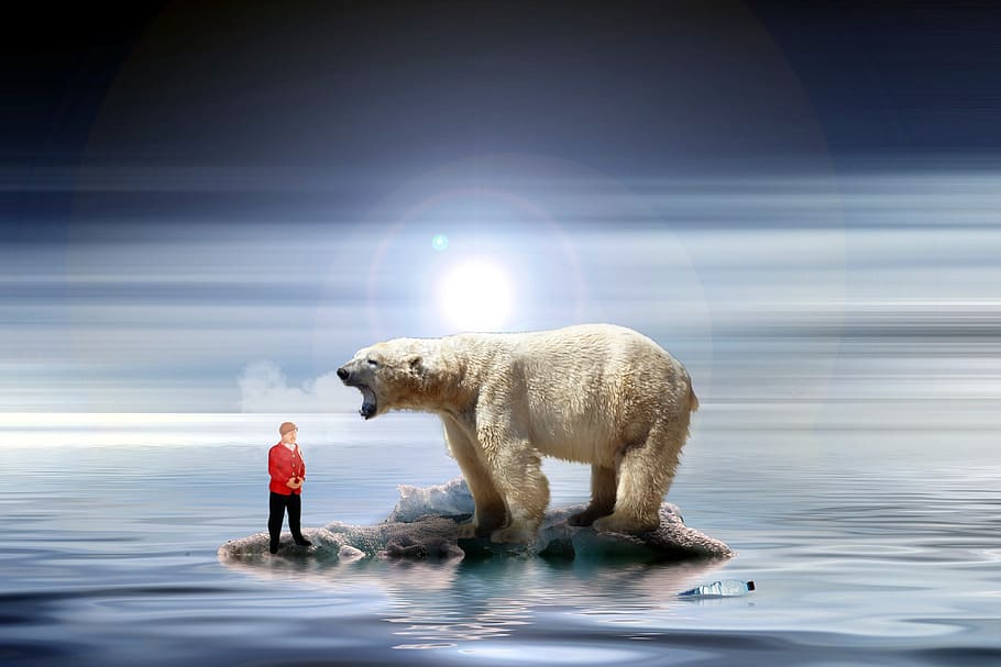 merkel, climate change, miniature figures, polar bear, environmental protection