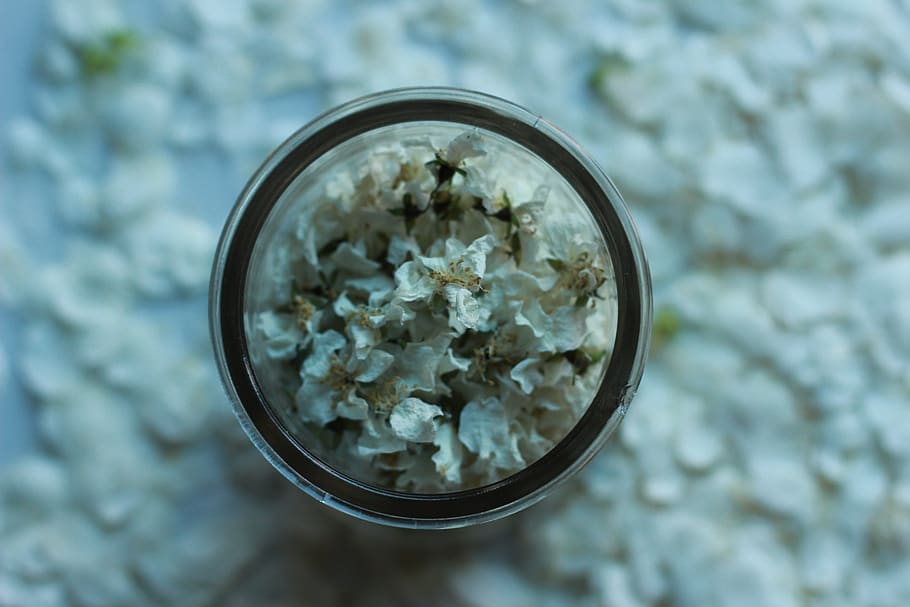 finland, espoo, close-up, plant, nature, glass - material, no people HD wallpaper