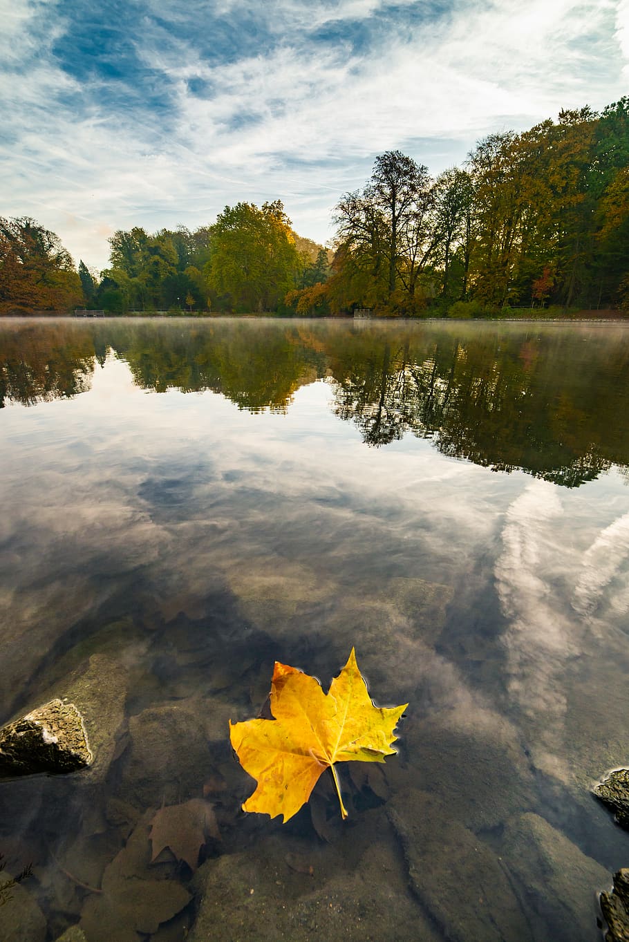 germany, dortmund, lake, water, autumn, leaf, beauty in nature