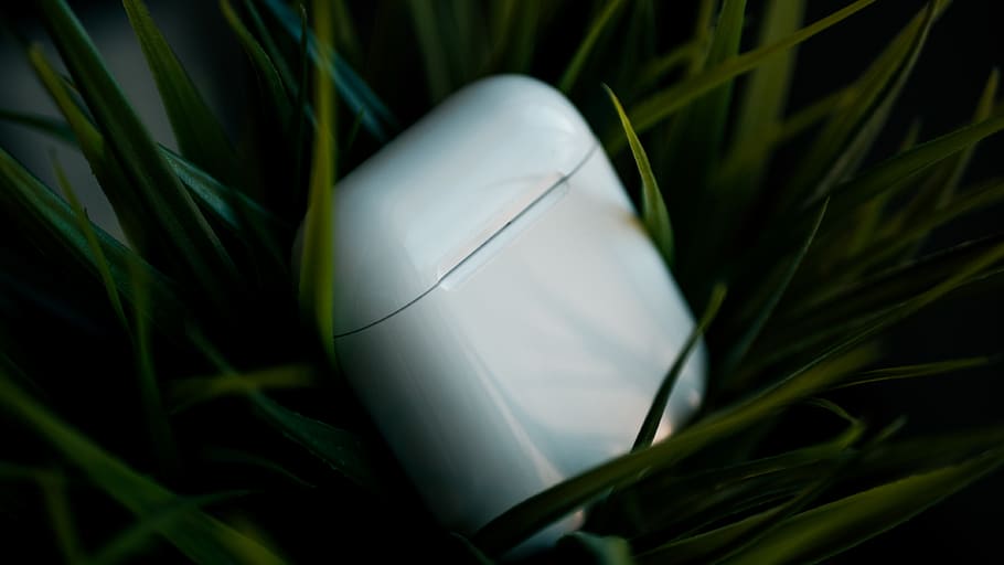 plant, hardware, electronics, mouse, computer, apple, apple airpods HD wallpaper