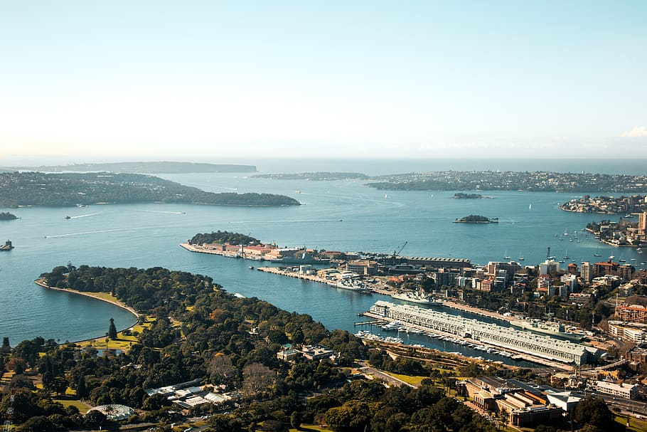 sydney, australia, view, harbour view, trees, park, sydney harbour, HD wallpaper