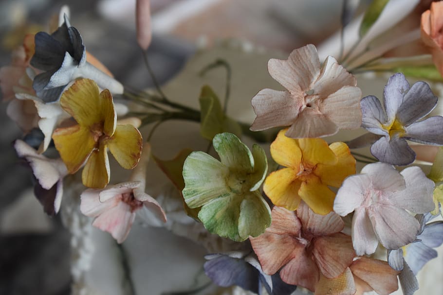flowers, cake, sugar, lineth, zarely, dessert, chef, flowering plant HD wallpaper