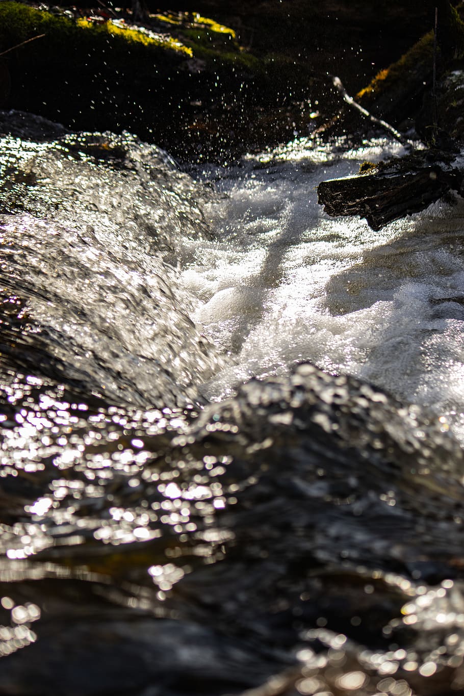 water, river, outdoors, nature, rock, stream, creek, fish, animal HD wallpaper