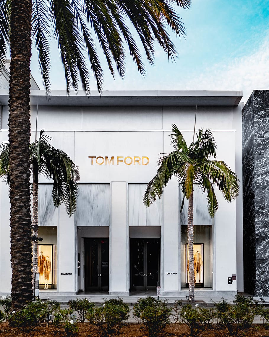 Tom Ford building at daytime, tree, plant, palm tree, arecaceae, HD wallpaper