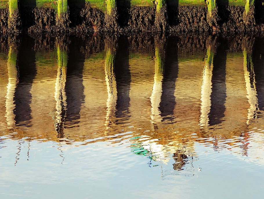 river beside grass field, outdoors, nature, land, ripple, waterfront HD wallpaper