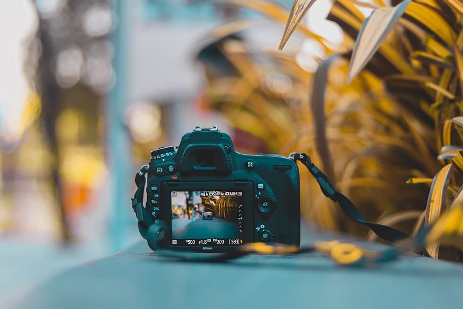 digital camera placed near plants, electronics, india, guwahati HD wallpaper