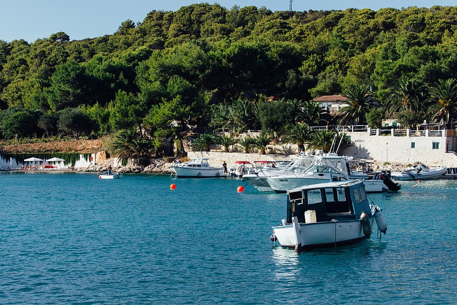 croatia, hvar, island, boat, tree, nautical vessel, water, transportation, HD wallpaper