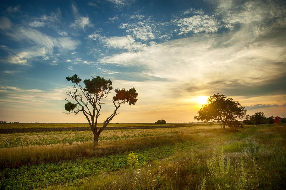 Landscape Photography of Green Grass Field, clouds, cloudy sky HD wallpaper