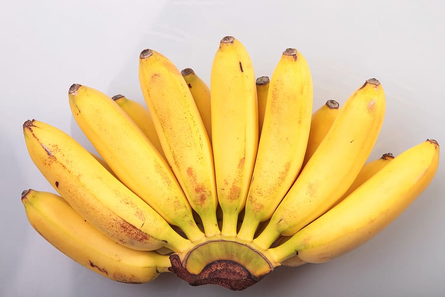 bananas, close, close-up, closeup, food, fresh, fruit, nutrient HD wallpaper
