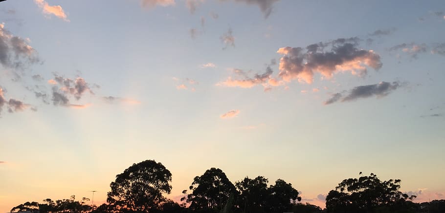 australia, connells point, sky, tree, sunset, plant, cloud - sky HD wallpaper