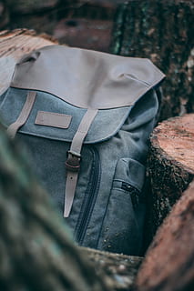 gray and brown backpack, plön, deutschland, wood, camera, camerabag HD wallpaper