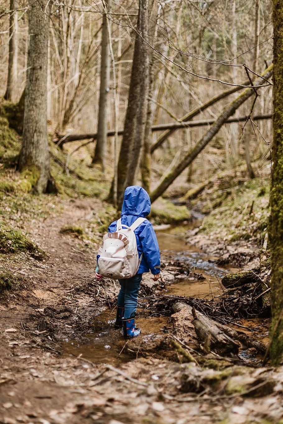 toddler walking under trees, forest, one person, land, childhood HD wallpaper