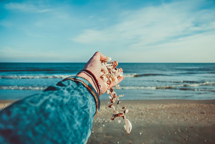 seashells, ocean, hand, sand, beach, shore, land, water, sky HD wallpaper