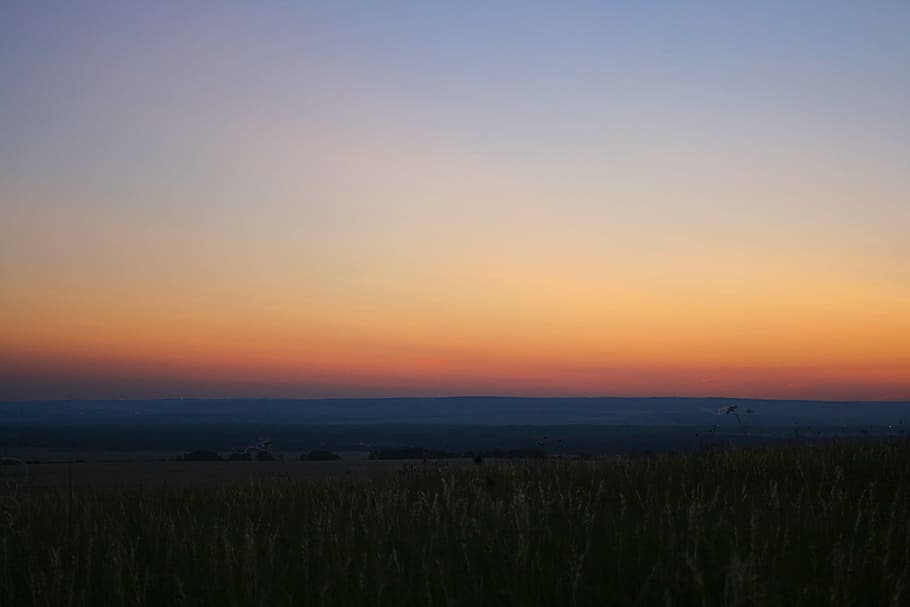 sky, hill, tree, view, wood, photo, field, night, grass, rural HD wallpaper