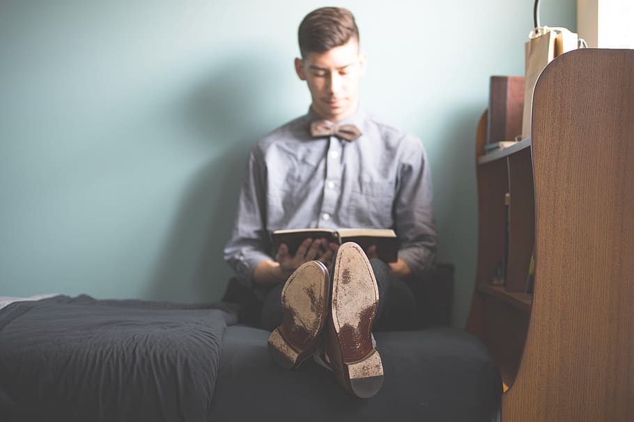 bed, book, man, person, reading, room, study, student, one person HD wallpaper