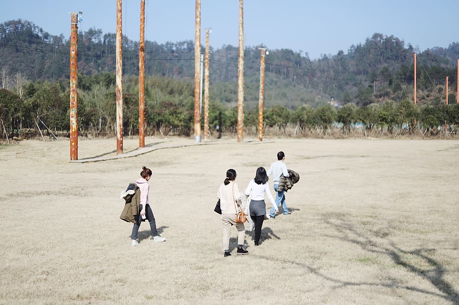 people walking on ground, human, person, plant, tree, apparel HD wallpaper