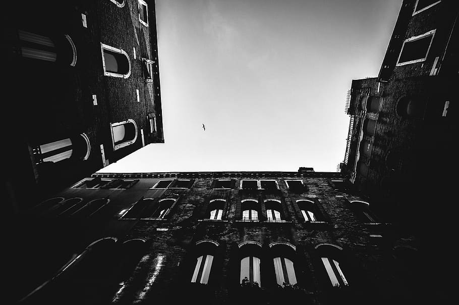 black, black and white, bottom, window, square, sky, bird, building HD wallpaper