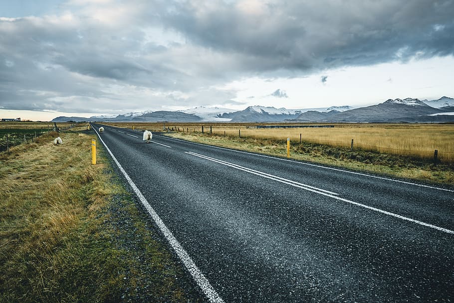 gray concrete road between grass fields under gray clouds, highway HD wallpaper