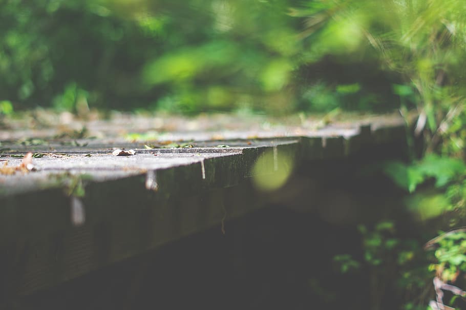 brown wooden dock, path, boardwalk, bridge, walkway, grass, flora HD wallpaper