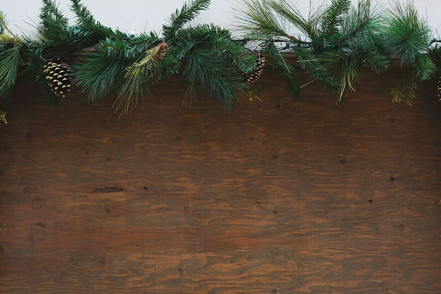Wood Background Wth Festive Greenery Photo, Christmas, Holidays HD wallpaper