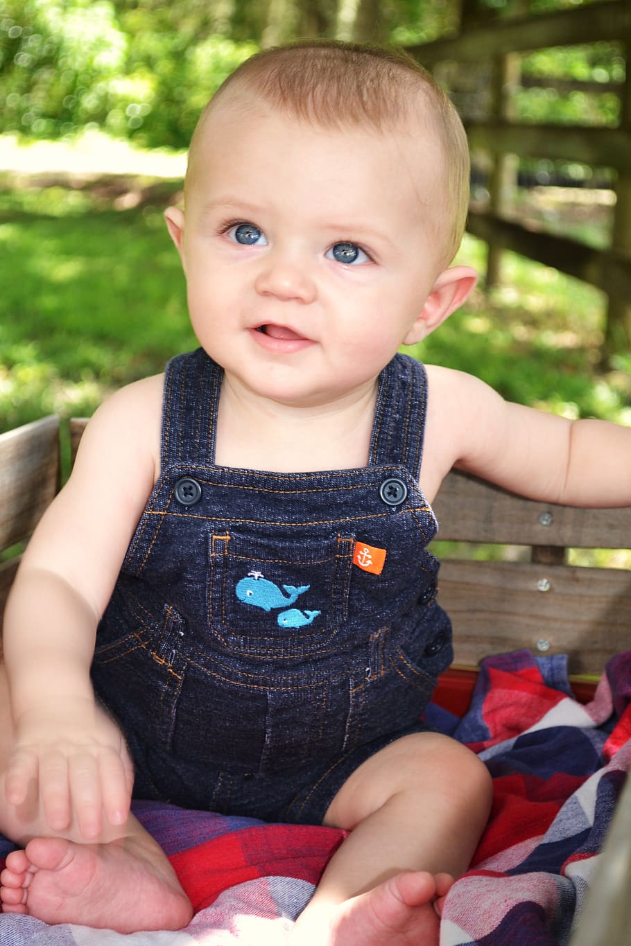 HD wallpaper: baby blues, blue eyes, 6 months, cute, overalls, farmer babe  | Wallpaper Flare