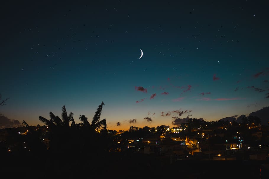Sky At Night, backlit, luna, moon, beauty in nature, plant, scenics - nature HD wallpaper