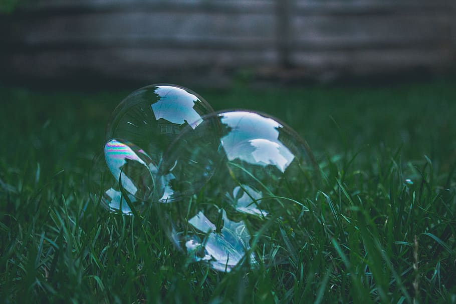 bubbles, green, grass, lawn, plant, close-up, nature, day, no people HD wallpaper