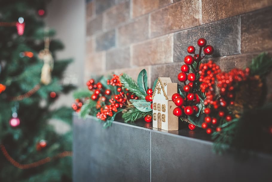 red cherries decor, plant, ornament, home, branch, сosiness HD wallpaper