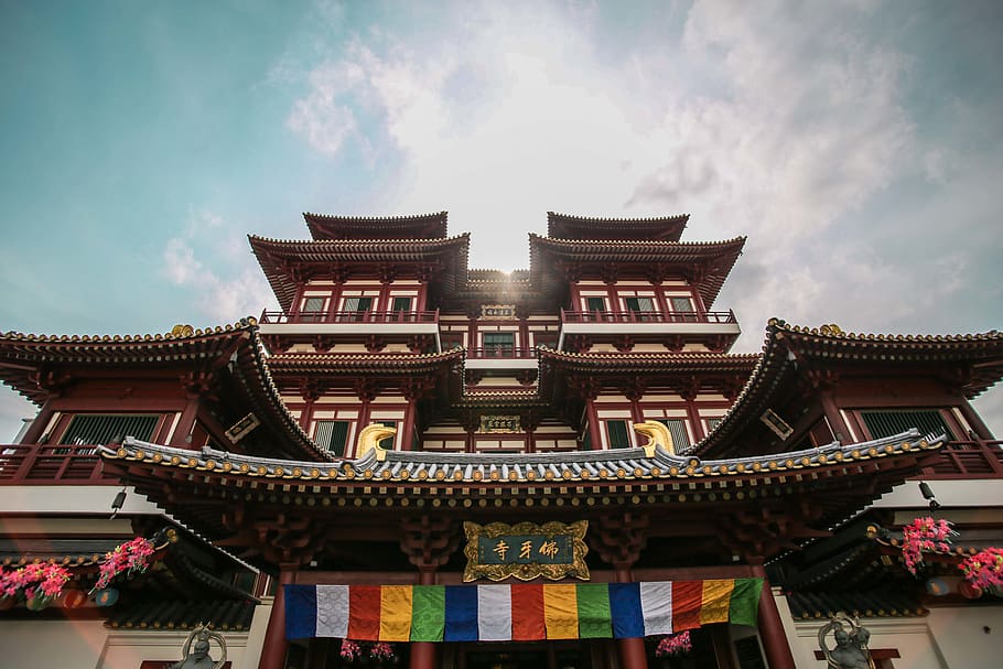brown and white temple, architecture, built structure, building exterior HD wallpaper