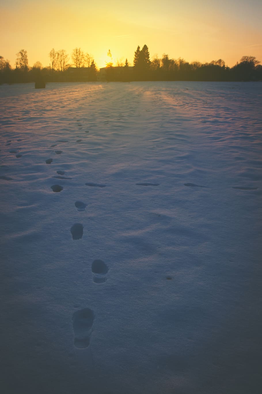 estonia, are, snow, spring, evening, footprints on the snow HD wallpaper